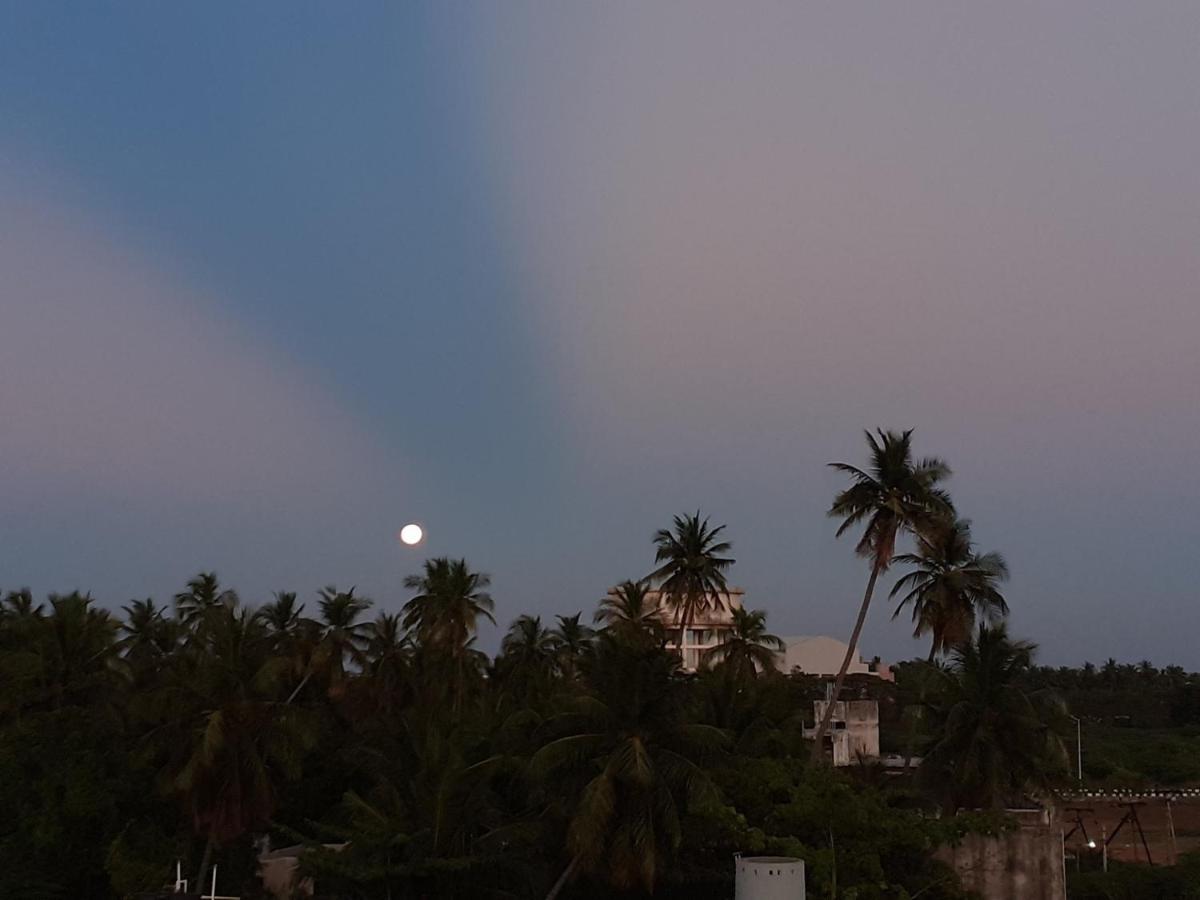 Holi-Wood Guesthouse Pondicherry Exterior photo