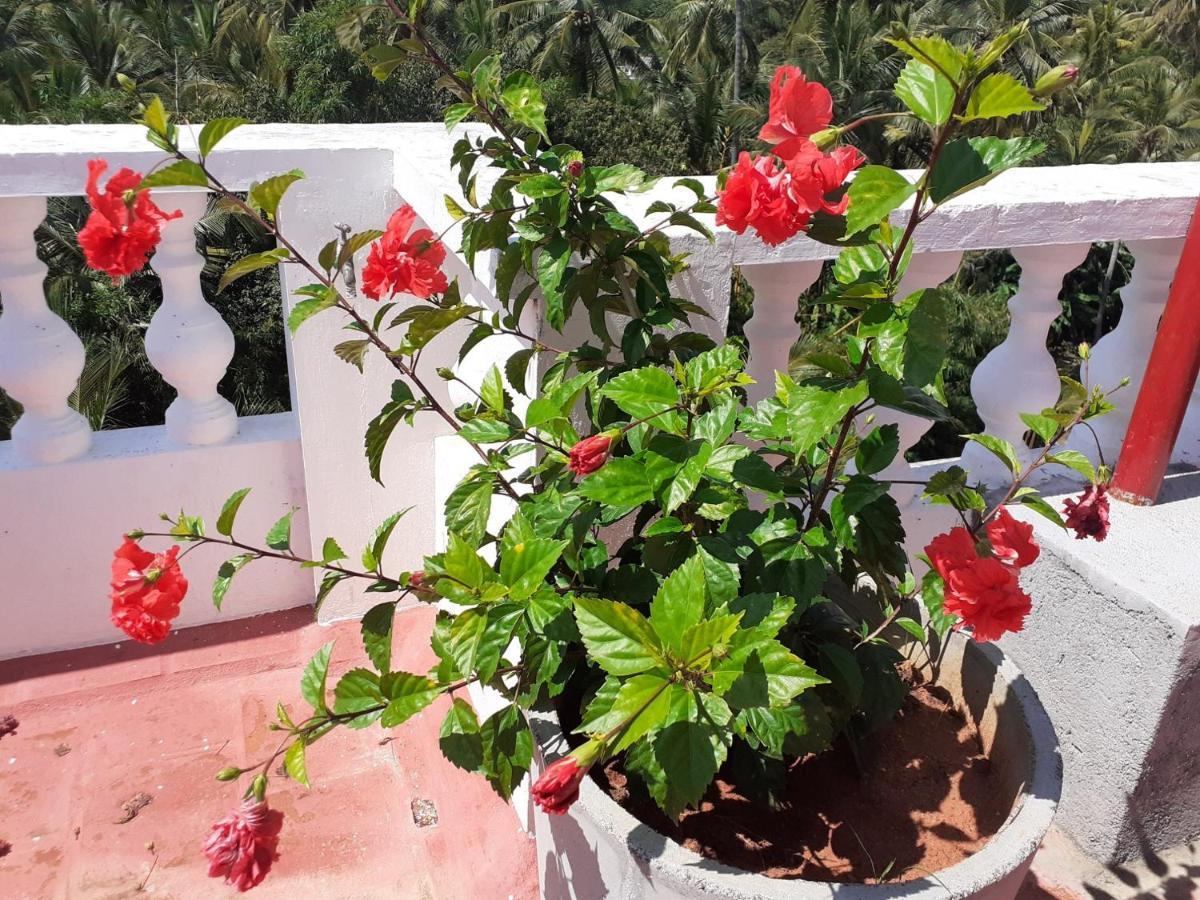 Holi-Wood Guesthouse Pondicherry Exterior photo